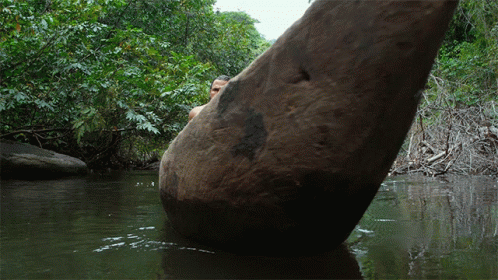 a rock standing on the edge of a body of water