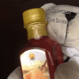 a stuffed animal sitting behind a bottle with a message in it