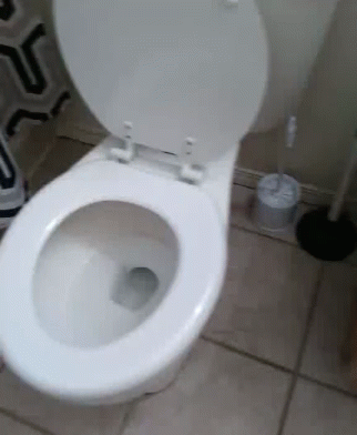 a toilet with the seat up in a bathroom