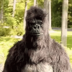 a gorilla with a human like head, long hair and an enormous body