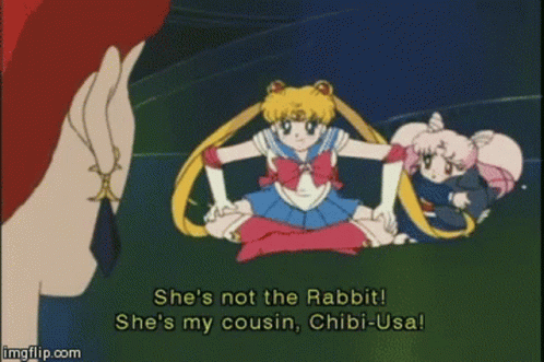 two anime characters one saying she's not the rabbit and the other saying