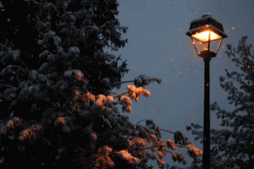 a street lamp is illuminated on a snowy night
