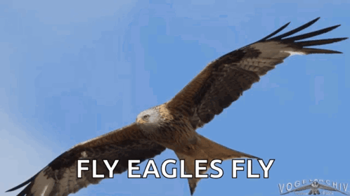 a large eagle flying over a brown field