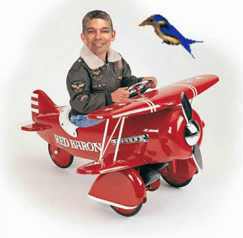 a boy in uniform is on an airplane and has a bird in the background