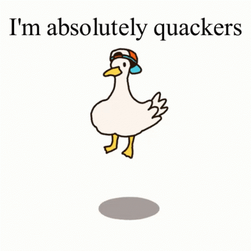 i'm absolutely quackers - an adult duck is shown