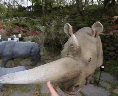there are three different statues of rhinos and other animals