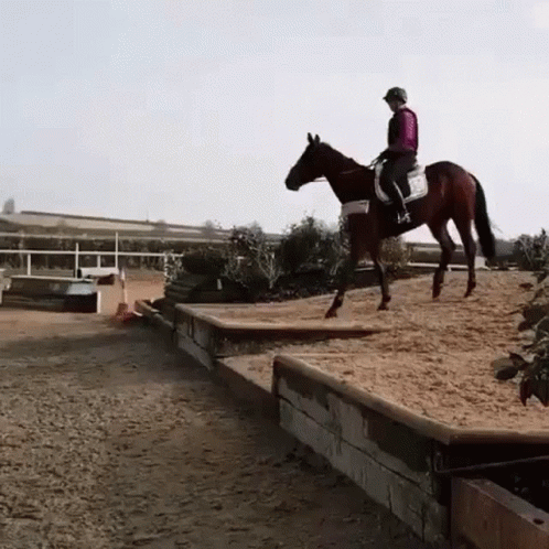 a woman on a horse jumping over an obstacle