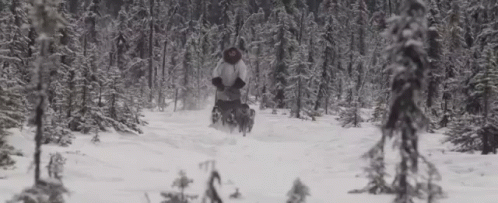 a person on a snow board riding through the woods