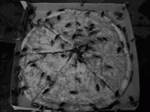 a pizza is shown with several dead birds on it