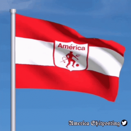 a cartoon of an american flag with the words america