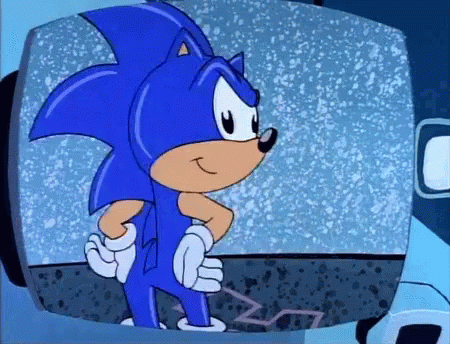 sonic the hedgehog is staring at another person with her hand on her hip
