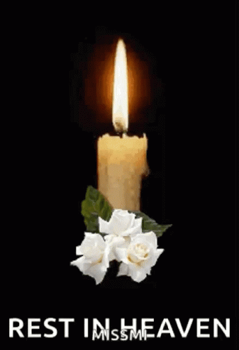 a single candle with two white roses in it