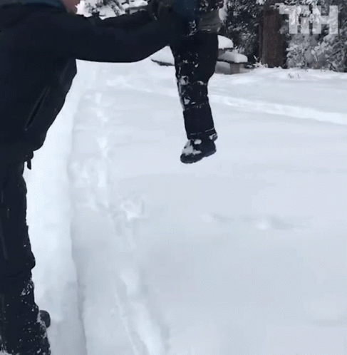 a couple of people in the snow playing with each other