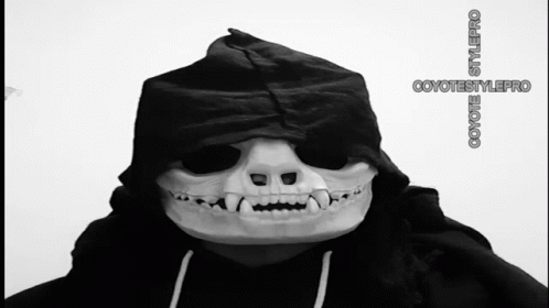 a person wearing a black skull mask with a long, hooded hood
