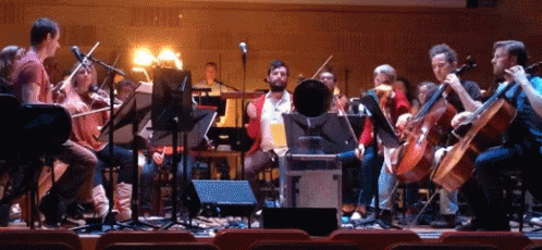 an orchestra is performing with a group of musicians