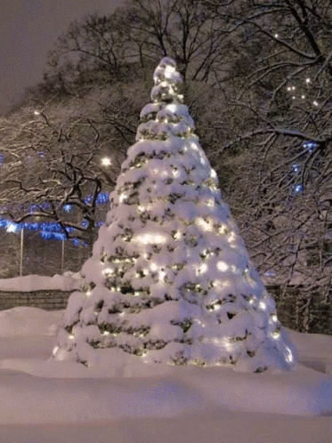 a lit tree with trees and some snow