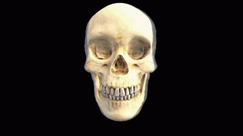 an image of a skull on black