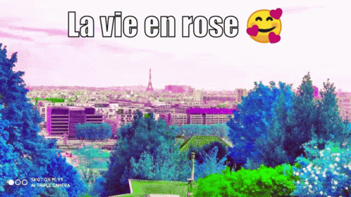 a colorful image with the words la vie en rose and city in the background