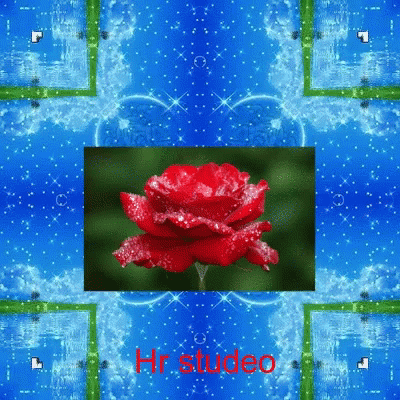 a digital image of a blue flower in a square