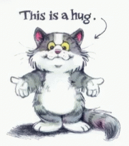 a cat with an expression on its face that reads, this is a hug