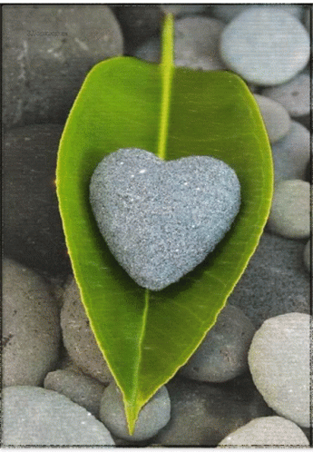 the green leaf has a small heart shaped rock in it