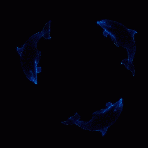 a group of dolphins swimming close together in the dark