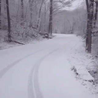 a snow covered road near the forest with trees