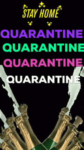 the back cover of stay home quaranine quaranine quaraninine quaranantine