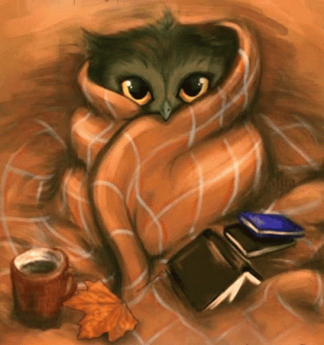 an owl under a blanket and next to a cup of coffee