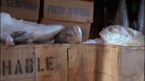 sea food and fish in crates all on sale
