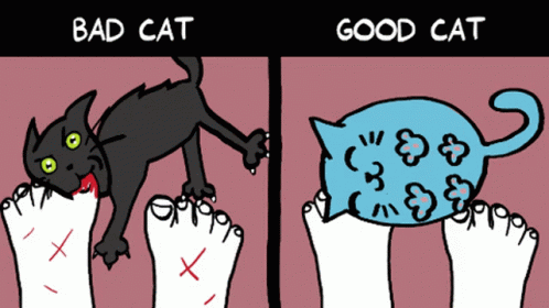 two cats standing next to each other with the caption that reads bad cat and good cat