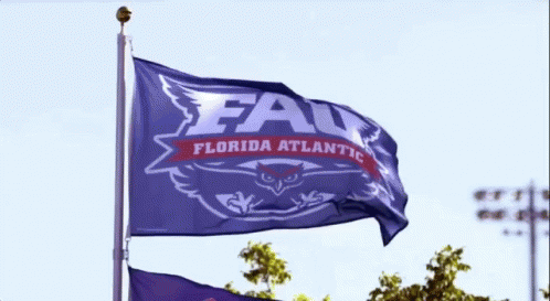 two flags with the words florida atlantic fly in the sky