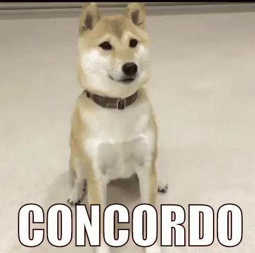 a husky is sitting on the floor, with the words comocordo on it