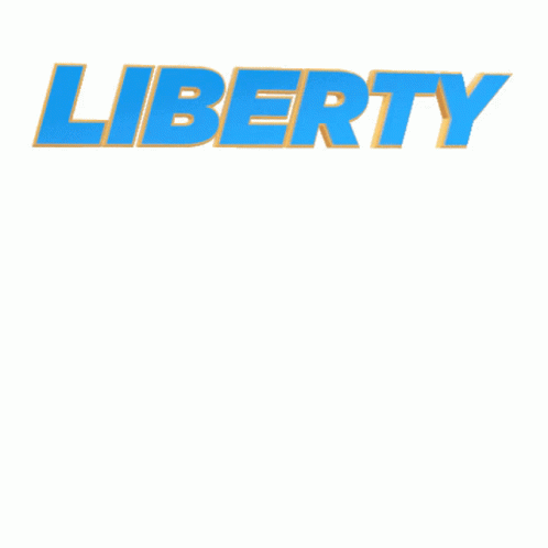 liberty is an image in a po book of a large plane