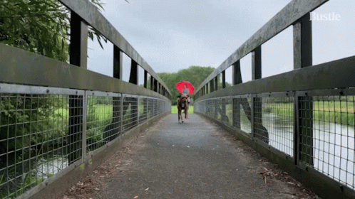 a person is walking along the bridge holding an umbrella