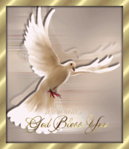 a card with a white dove flying on it and the words god boss you on it