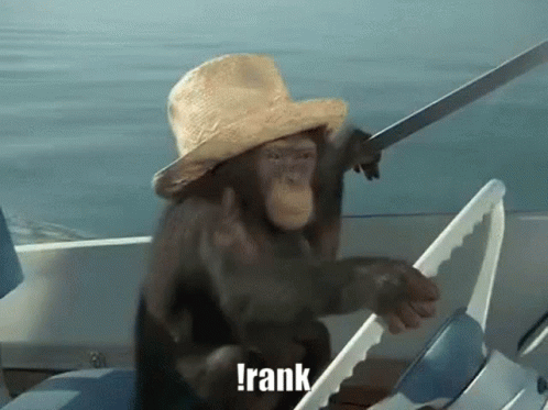 the monkey in the boat is dressed like he's going to see the water