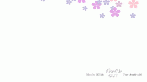 a white background with pink flowers on it