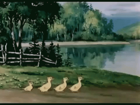 this is the image of four ducks in a pond