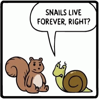 cartoon scene of a squirrel and a large snail