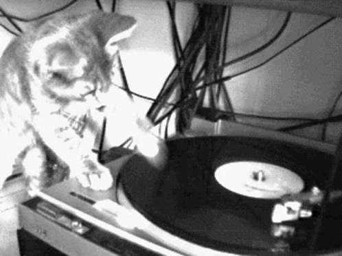a cat sitting in front of an old turntable