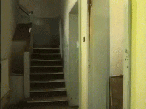 a narrow hallway with steps leading down
