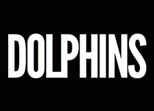 the words dolphins are written in white against a black background