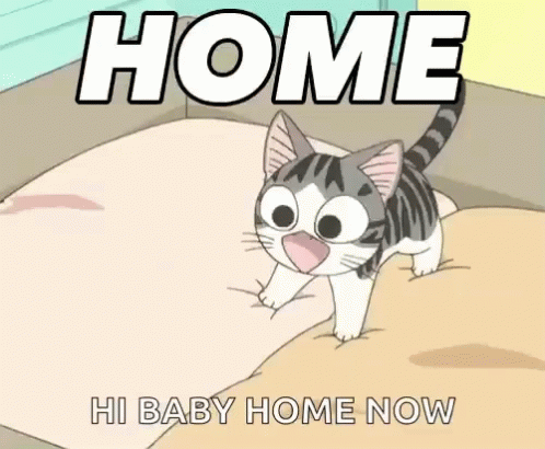 a cartoon picture of a cat laying in bed that says, home