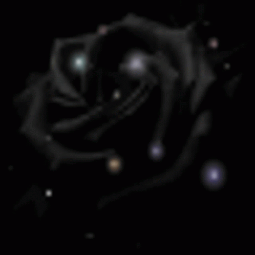 black background with white circles and the dark colored rose