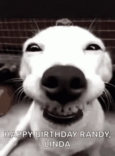 this is a happy birthday andy from linda and his dog
