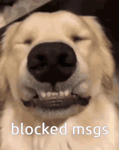 a smiling dog has a caption on it to say, blocked mrss