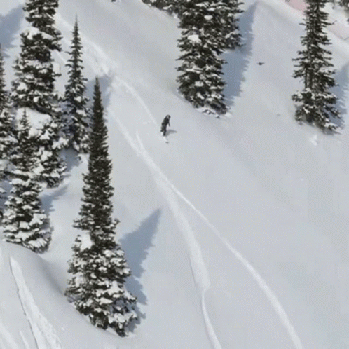a snowboarder riding down a snowy mountain with trees