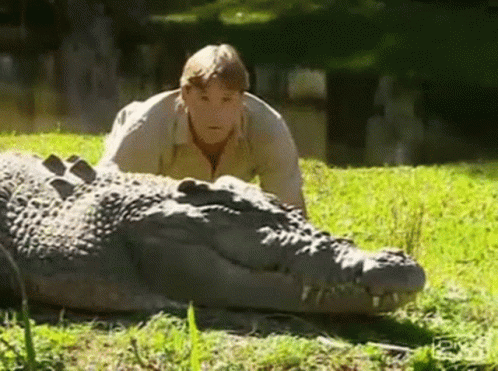a person laying on the grass with a big alligator