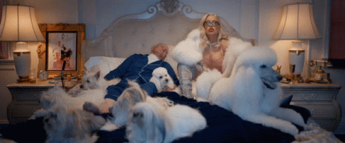 a bed with white fluffy dogs in a room